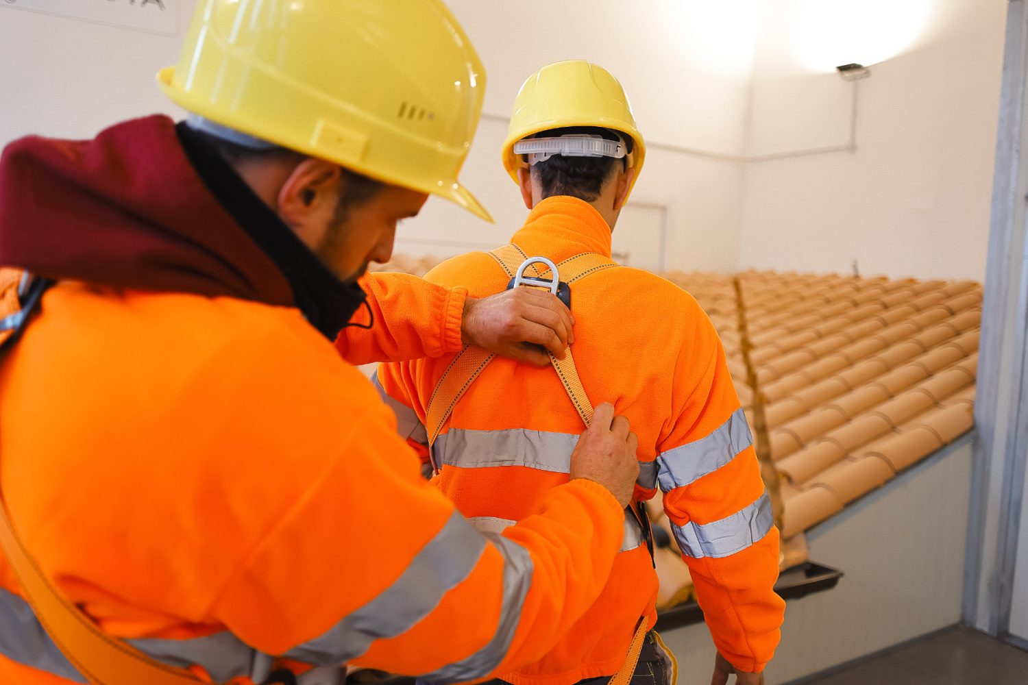 Immagine illustrativa